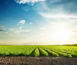 Prueba - Artículo 1