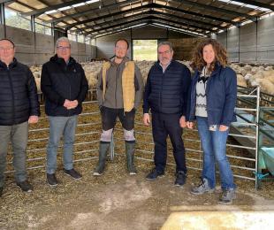 Imagen de la noticia