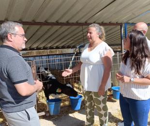 Imagen de la noticia