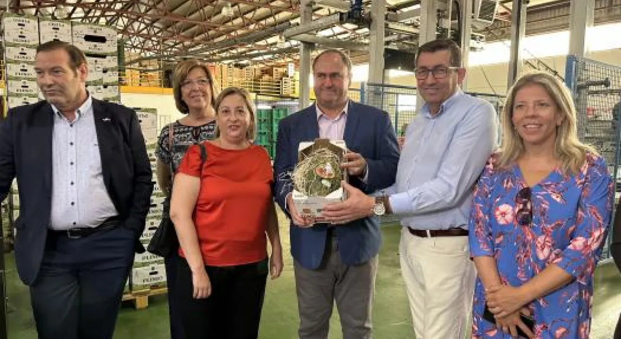 Imagen de la noticia