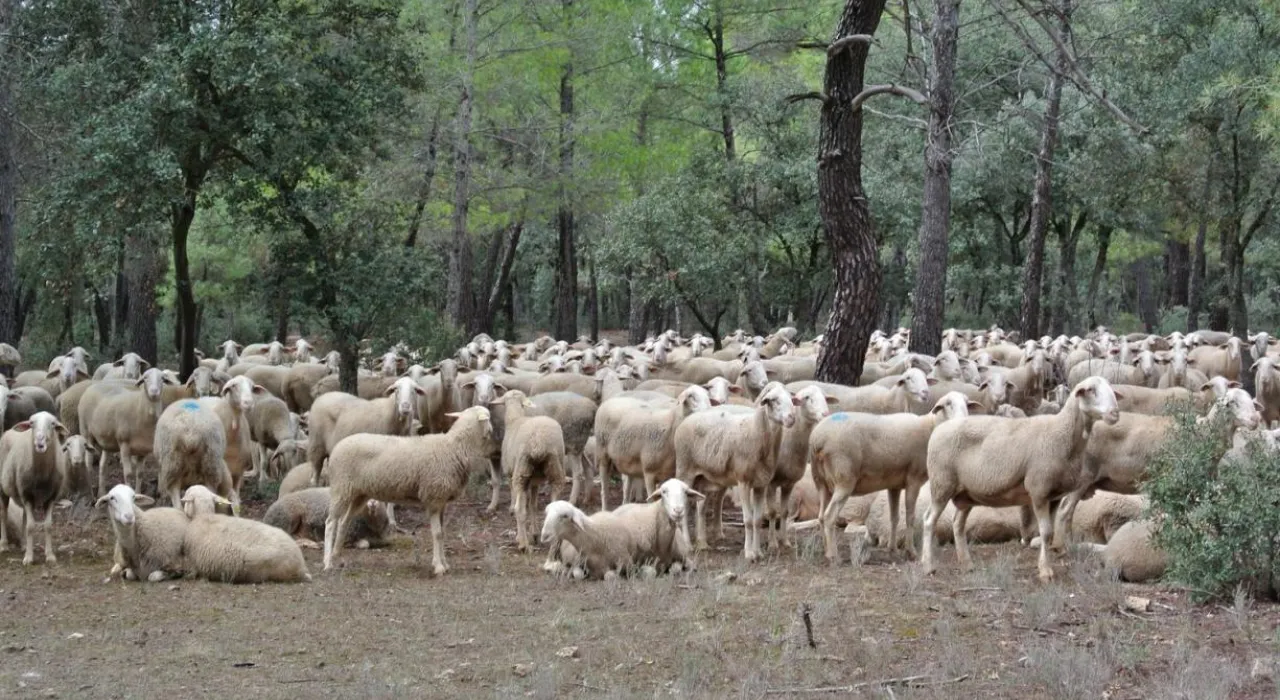 Imagen de la noticia