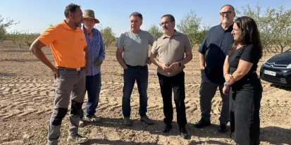 Imagen de la noticia