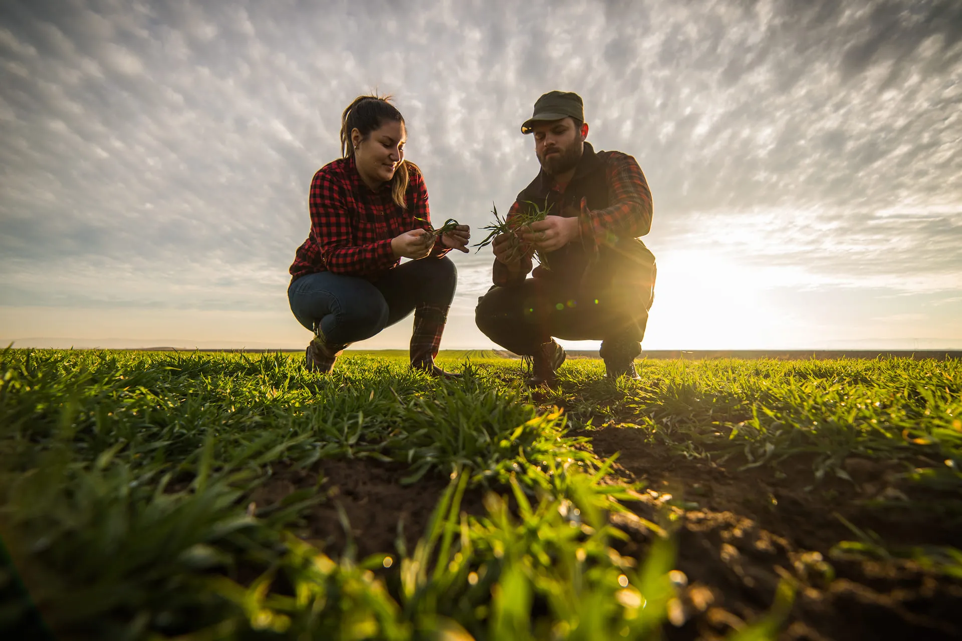 Personas jóvenes en el campo